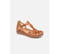 Chaussures à scratch Pikolinos Cadaques W8K-0802 pour Femme Marron