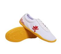 Chaussures Art Martiaux,Chaussures Tai Chi WU Shu Kung Fu Karate Taekwondo Homme,Chaussures Baskets Sport Gym Arts Martiaux Antidérapant(Size:39(23cm),Color:Blanc)
