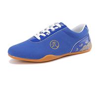 Chaussures Arts Martiaux Kung Fu,Chaussures Tai Chi Chaussures Entraînement Performance Basses Chaussures Karaté Taekwondo,Blue-44