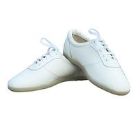 Chaussures D'arts Martiaux Antidérapantes Pour Hommes, Chaussures D'entraînement Tai Chi, Kung Fu Pour Hommes Et Femmes, Chaussures De Sport Pour Taiji Wushu Wing Chu(Size:38EU,Color:WHITE)