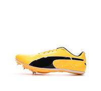 Chaussures D'Athlétisme Orange Homme Puma Evospeed Sprint 14 39