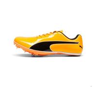 Chaussures d'athlétisme Puma Evospeed Sprint 14 43