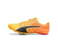 Chaussures d'athlétisme Puma Teamwear evoSPEED Future 6 43