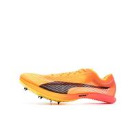 Chaussures d'athlétismes Orange Homme Puma Evospeed Distance Nitro Elite 44