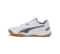 Chaussures de badminton indoor Puma Solarflash II - shadow gray/marron - 39 41