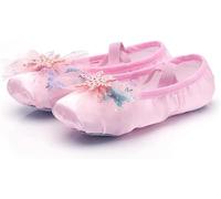 Chaussures de Ballet, Chaussures de Pointe, Chaussures d'exercices de Ballerine for Enfants, Pantoufles de Danse for Filles, Tout-Petits et Femmes.(Cherry Pink,23)