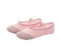 Chaussures De Ballet Fille Enfants Pantoufles Danse Toile Professionnelle Semelle Souple Filles Femmes Yoga Gym Danseur(Light Pink,36)