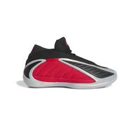 Chaussures de basketball A.E. 2 Bulldawgs Gris 43 1/3