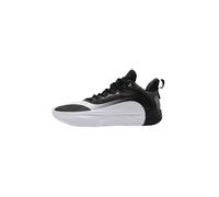 Chaussures de basketball Peak Flash 5 Noir 45