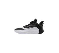 Chaussures de basketball Peak Flash 5 Noir 45
