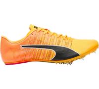 Chaussures de course à pointes Puma evoSPEED FUTURE 6 4099686248260 taille 46,5 EU