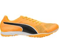 Chaussures de course à pointes Puma evoSPEED Haraka 8 Spikeless 4067983036439 taille 37,5 EU