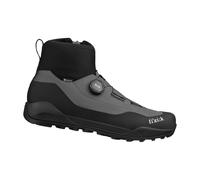 Fizik Terra Nanuq Gore-tex® Mtb Shoes Noir EU 44 Homme