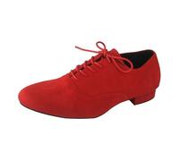 Chaussures de Danse Latine Homme Chaussures Modernes en Faux Daim avec Lacets, Chaussures de Danse Latine for Hommes, Semelle Caoutchouc Gris, Talon 2.5CM(Color2,35 EU)