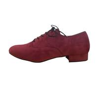 Chaussures de Danse Latine Homme Chaussures Modernes en Faux Daim avec Lacets, Chaussures de Danse Latine for Hommes, Semelle Caoutchouc Gris, Talon 2.5CM(Color9,35 EU)