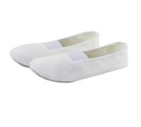 Chaussures De Danse Masculine Et Féminine Ballet Yoga Toile À Fond Doux Gymnastique Plates Chaussure Classique Ballerine Demi Pilates Chaussons Split Plate pour Filles Femmes (Blanc,42)