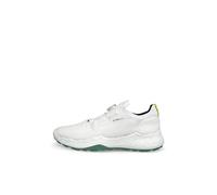 Chaussures de golf Ecco P291803/biom h5 Blanc 39