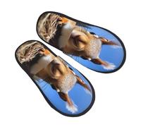 Chaussures De Maison Gros Plan Sur Un Écureuil Curieux Unisexes Pantoufles Duveteux Shoes Chambre À Coucher Pantoufle Pour Hôtels Voyages M