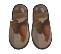 Chaussures De Maison Oil Paintings Chicken And Duck Print Pantoufles Pour Femme Et Homme Chaussures Intérieur Et Extérieur Pantoufle Pour Chambre À Coucher Fête Camping L