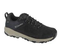 Columbia Newton Nimble™ Ltr Hiking Shoes Noir EU 45 Homme