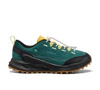 Chaussures de randonnée Keen Jasper Zionic Vert 36