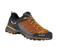 Salewa Chaussures de randonnée basses Mountain Trainer Lite Hommes Bleu 9.5