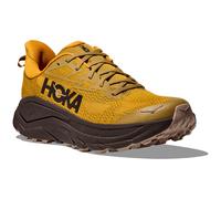 Chaussures de running hommes Hoka M Challenger 8 Taille de chaussures (UE): 42 2/3 / Couleur: brun