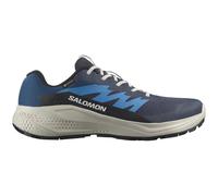 Salomon Alphaglide Goretex Trail Running Shoes Bleu EU 42 Homme