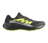 Chaussures Salomon Alphaglide GORE-TEX noir jaune acide - 47(1/3)