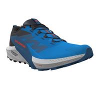 Chaussures de running hommes Salomon Sense Ride 5 Taille de chaussures (UE): 46 / Couleur: bleu