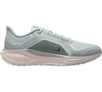 Chaussures de running Nike Pegasus 41 GORE-TEX 198486928946 taille 44,5 EU