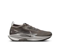 Chaussures de running Nike Pegasus Trail 5 GORE-TEX Gris 44 Male