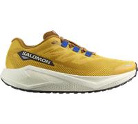 Chaussures Salomon Aero Blaze 3 Grvl jaune moutarde - 44