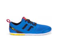 Chaussures de running Xero Shoes Born to Run - Homme - Bleu - Régulier 42,5
