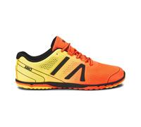 Chaussures de running Xero Shoes HFS II 42