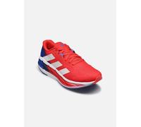 Chaussures de sport adidas performance Adistar 3 M pour Homme 39 1/3 Rouge