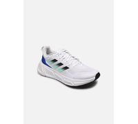 Chaussures de sport adidas performance Questar M pour Homme 39 1/3 Blanc