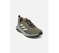 Chaussure de randonnée Terrex Anylander Olive Strata / Wonder Beige / Core Black 40