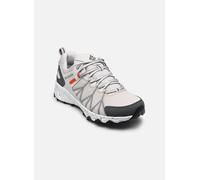 Chaussures de sport Columbia Peakfreak II Outdry M pour 43 Gris
