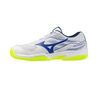 Mizuno Break Shot 5 Cc Clay Shoes Blanc EU 40