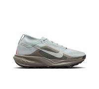 Chaussures de trail femme Nike ACG Pegasus Gore-Tex Argenté 41 Female