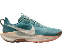Chaussures de trail Nike Pegasus Trail 5 198481466153 taille 40,5 EU