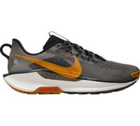 Chaussures de trail Nike Pegasus Trail 5 198481565924 taille 48,5 EU