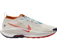 Chaussure de trail imperméable Nike Pegasus Trail 5 GORE-TEX pour homme - Gris 47