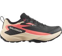 Chaussures de trail Salomon GENESIS GTX W 195751930260 taille 41,3 EU