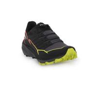 Chaussures de trail SALOMON Thundercross Noir - Homme - Adulte - Running - Régulier 43 1/3