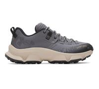 Chaussures de trail Under Armour Expanse Gris 44,5