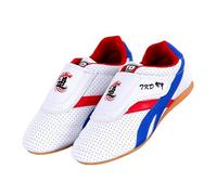 Chaussures De Training De Karaté,Sneaker D'Arts Martiaux LéGers,Kung Fu Boxe Karaté Baskets,Chaussures De Boxe De Taekwondo,AntidéRapant LéGer Respirantes,Pour Taekwondo Sport Kung Fu Taichi