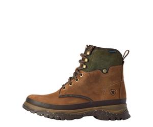 Chaussures d'écurie femme Ariat Moresby H2O Marron 41