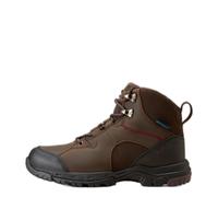 Chaussures d'écurie femme Ariat Skyline Mid H2O Marron 37